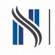 NewSouth Technologies logo