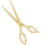 Shirley's His & Hers Styling Salon logo