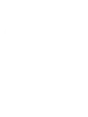 Passive Investor Network logo