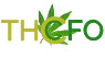 Thcfo Accounting logo