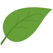 Logo van Care Plant Inc