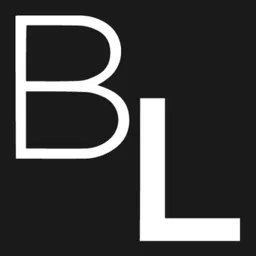 Barrows Levy PLLC logo