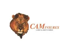 Caminsures logo