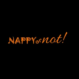 Nappy Or Not Inc logo