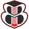Bingham Construction Co Inc logo