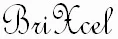 Brixcel Inc logo