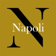 Il Caffe di Napoli logo