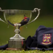Logo von Scoil Ui Cheithearnaigh