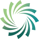 Logo van Rochestown CSS