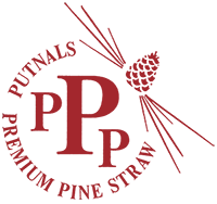 Triple P Trucking logo