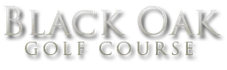شعار Black Hawk Inc