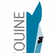 Logo van DM.Equine