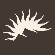 High Peaks Saratoga logo