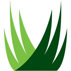 SYNLawn Jacksonville logo