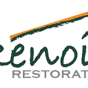 Renoir Restoration logo