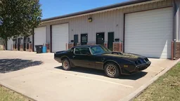 Dealers Paintless Dent Repair LLC logosu