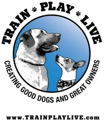 Logo firmy Train Play Live