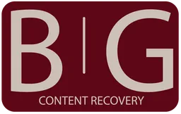 B.i.g. Content Recovery logo