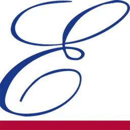 E-solutions Inc. logo