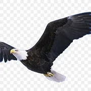 Logo van Eagle Lake Realty