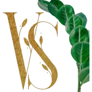 Vibe Spa logo