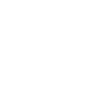 Logoen til Neglia Construction & Painting