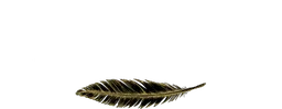 Logo firmy The Blackbird Hotel