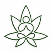 Nirvana SB logo
