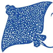 Blue Water Ventures logo