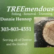 Logo for TREEmendous Services