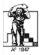 C.Steinweg logo
