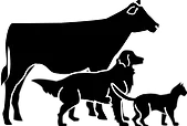 Logo van Martintown Animal Hospital
