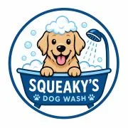 Yrityksen Squeaky Clean Car Wash logo