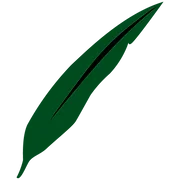 Elizabeth Pratt, Pllc logo
