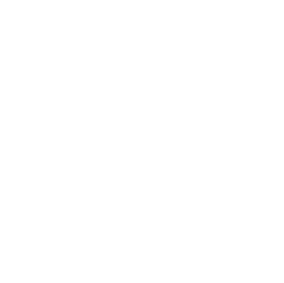 Omni Dance Academy logosu