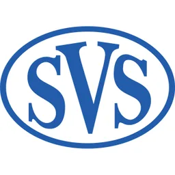 Southern Valve Services logo