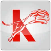 Logo for King and King Detective Agency