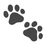 Logo de Five Star Concrete