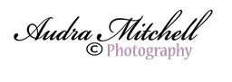 Audra Mitchell Photography logo