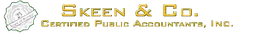 Skeen & Co Cpa's Inc. logo