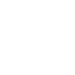 Logo for Trafficalm Systems