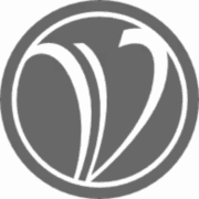 Virginia Council of CEOs logo