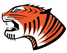 Tiger C Construction, LLC logo