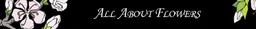 Logo for All About Flowers