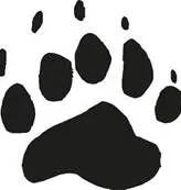 Brown Bear Home Care logo