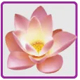 BodyOm Spa Retreat logo