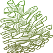 Logo van PineCone Properties