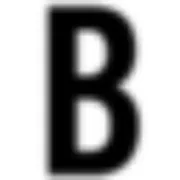 Burg Simpson logo