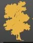Driscoll Tree Service logo