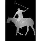 Logo van Juan R Aracena | Polobroker.com